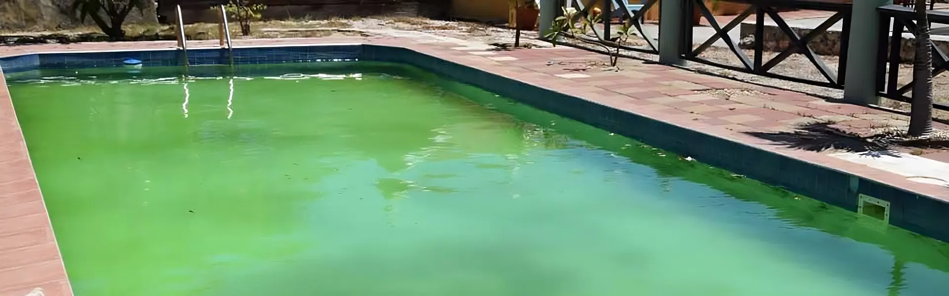 How to Prevent Algae in Your Pool