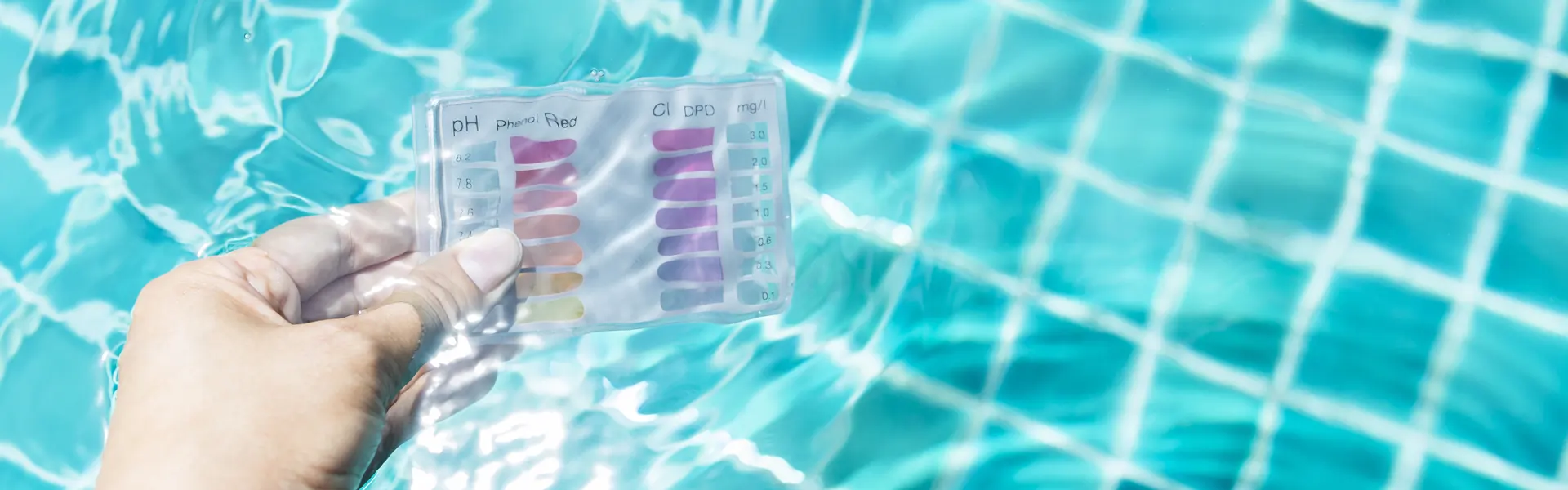 We Provide Pool Services in Altamonte Springs, FL