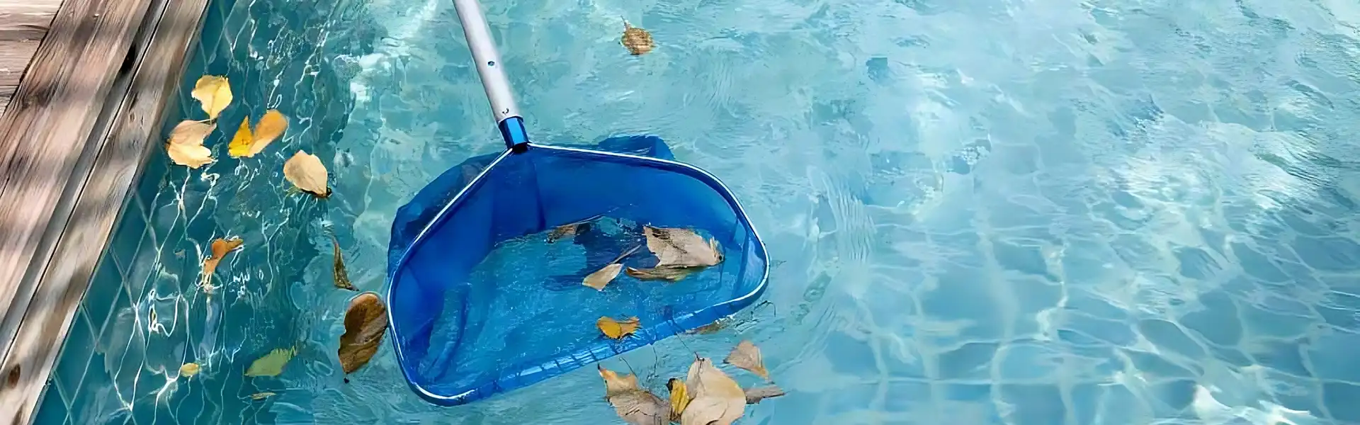 Pool Cleaning FAQ