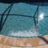 IMG 4249