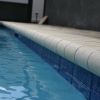 IMG 1978