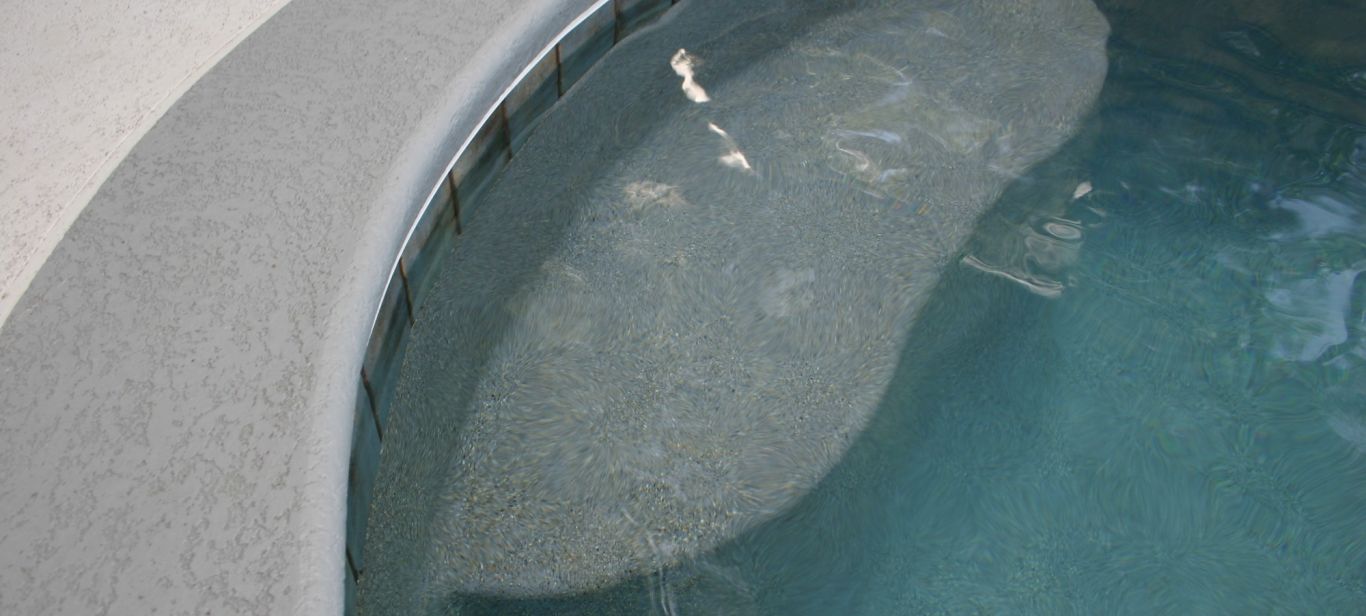 ATLAS TOOK PICS  2 18 16 266