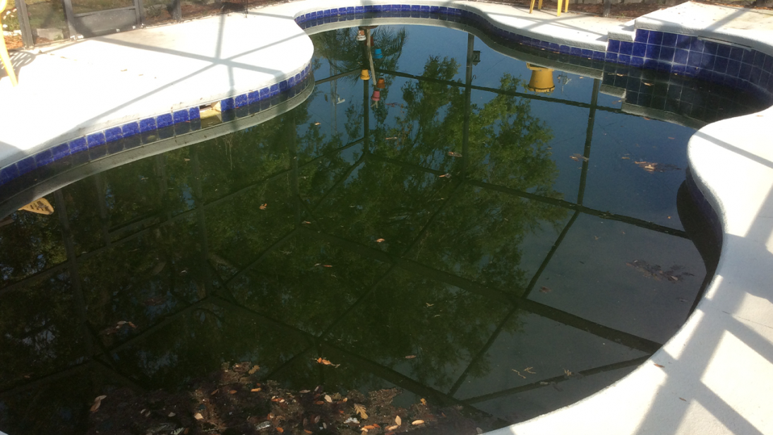 Before Photo 2