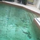 Photo Jan 29  3 36 09 PM