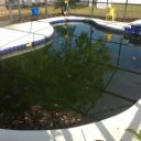 Before Photo 2